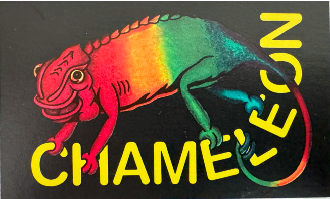 Chameleon Code Card Chameleon Card Game