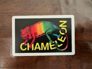 Chameleon rainbow card back